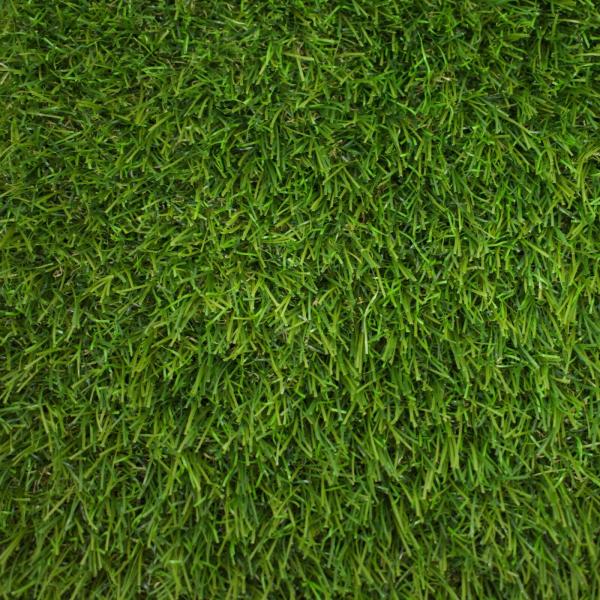 A photo of grass