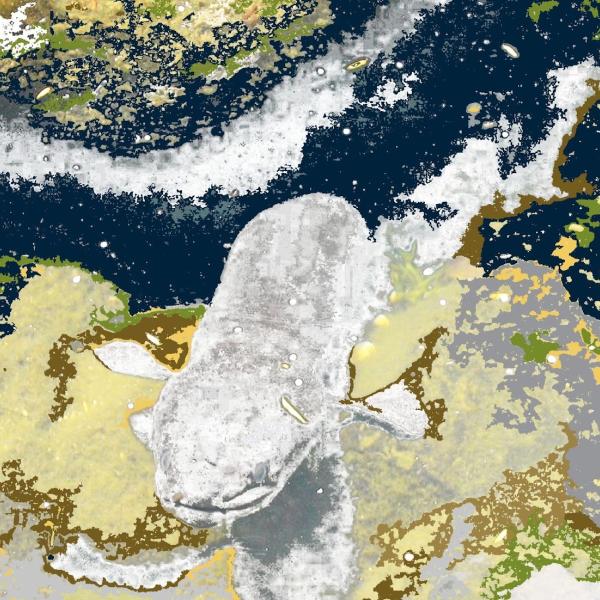 A tuna emerges from an abstract background of blues, whites greens and earth tones which almost resemble a map