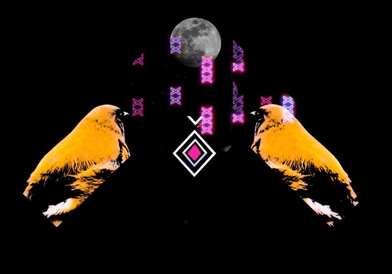 a still image from one of Jamie's works. A bird is mirror imaged and looking in to the middle of the image. There is a moon, and neon tukutuku patterns.