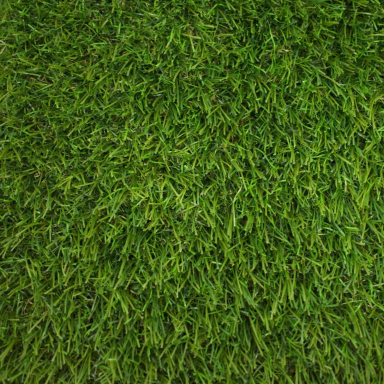A photo of grass